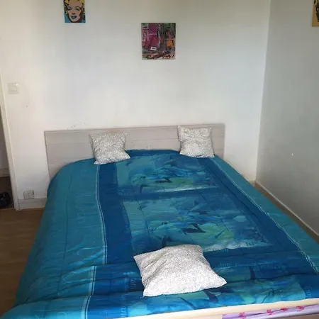 Homestay Individuelle Chez Sandrine A 20 Min Des Portes De Paris *